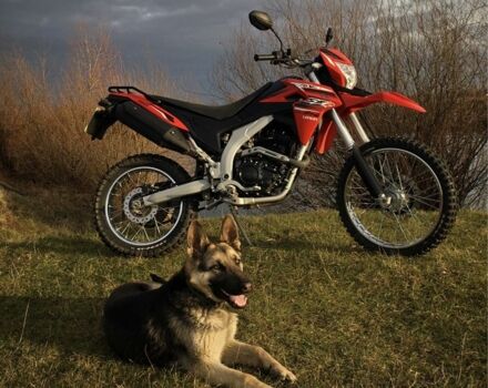 Лонкін 3302, об'ємом двигуна 0.25 л та пробігом 0 тис. км за 1700 $, фото 1 на Automoto.ua