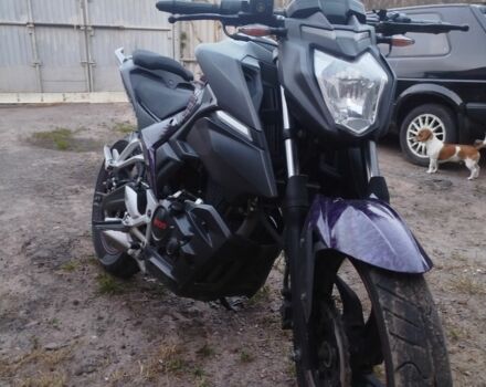 Лонкин 6510, объемом двигателя 0.25 л и пробегом 0 тыс. км за 963 $, фото 2 на Automoto.ua
