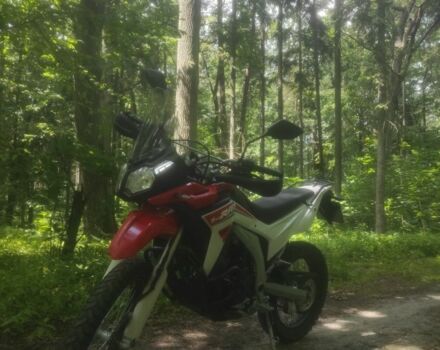 Лонкин 6510, объемом двигателя 0.25 л и пробегом 0 тыс. км за 1900 $, фото 13 на Automoto.ua
