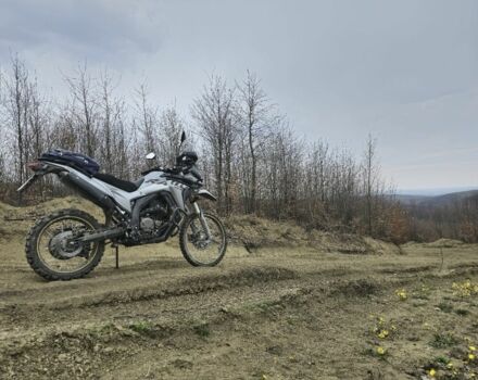 Лонкин 6510, объемом двигателя 0.29 л и пробегом 0 тыс. км за 3700 $, фото 3 на Automoto.ua