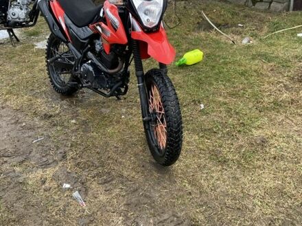 Лонкін 95 XF 380 2021 у Рокитне на Automoto.ua Лонкін 95 XF 380, об'ємом двигуна 0.2 л та пробігом 0 тис. км за 899 $, фото 1 на Automoto.ua