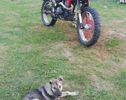 Лонкин С-Элизе, объемом двигателя 0.2 л и пробегом 0 тыс. км за 800 $, фото 1 на Automoto.ua