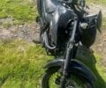 Лонкин Другая, объемом двигателя 0.2 л и пробегом 0 тыс. км за 436 $, фото 5 на Automoto.ua