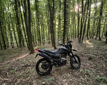 Лонкин Другая, объемом двигателя 0.2 л и пробегом 0 тыс. км за 850 $, фото 3 на Automoto.ua