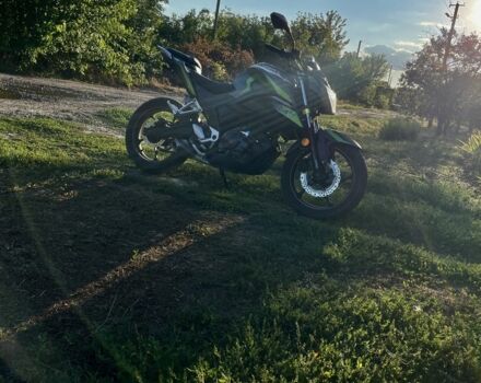 Лонкін Інша, об'ємом двигуна 0.25 л та пробігом 0 тис. км за 1600 $, фото 2 на Automoto.ua