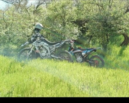 Лонкин Другая, объемом двигателя 0.3 л и пробегом 0 тыс. км за 2050 $, фото 3 на Automoto.ua