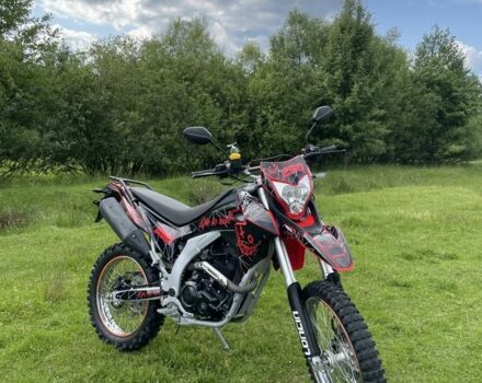 Лонкін Інша, об'ємом двигуна 0.25 л та пробігом 0 тис. км за 1600 $, фото 7 на Automoto.ua