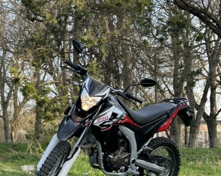 Лонкін Інша, об'ємом двигуна 0.25 л та пробігом 0 тис. км за 2050 $, фото 7 на Automoto.ua