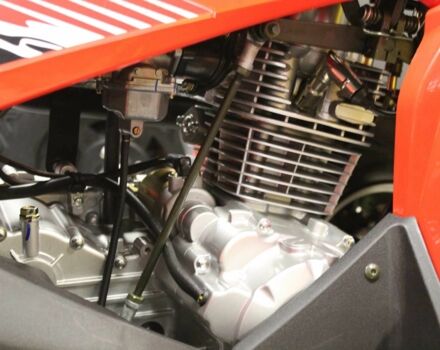 Лонкин Другая 2024 в Житомире на Automoto.ua Лонкин Другая, объемом двигателя 0.2 л и пробегом 0 тыс. км за 2950 $, фото 5 на Automoto.ua