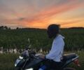 Лонкин Другая, объемом двигателя 0.25 л и пробегом 0 тыс. км за 1490 $, фото 1 на Automoto.ua