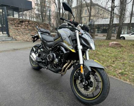 Лонкин Другая, объемом двигателя 0.53 л и пробегом 0 тыс. км за 5500 $, фото 4 на Automoto.ua