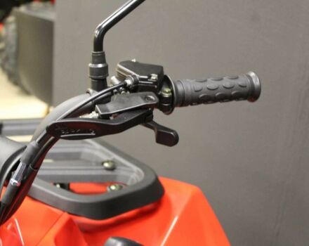 Лонкин Другая 2024 в Житомире на Automoto.ua Лонкин Другая, объемом двигателя 0.2 л и пробегом 0 тыс. км за 2950 $, фото 8 на Automoto.ua