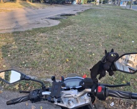 Лонкин Другая, объемом двигателя 0.3 л и пробегом 0 тыс. км за 110000 $, фото 7 на Automoto.ua