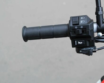 Лонкин Другая 2024 в Житомире на Automoto.ua Лонкин Другая, объемом двигателя 0.3 л и пробегом 0 тыс. км за 3150 $, фото 8 на Automoto.ua