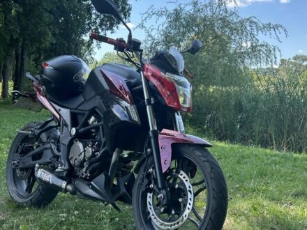 Лонкин Другая 2019 в Гадяче на Automoto.ua Лонкин Другая, объемом двигателя 0.3 л и пробегом 0 тыс. км за 2000 $, фото 1 на Automoto.ua
