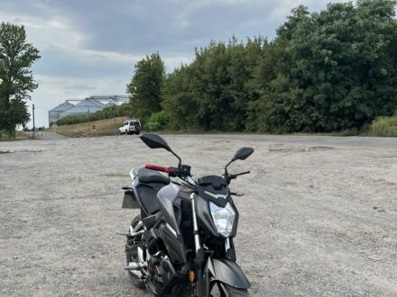 Лонкін Інша, об'ємом двигуна 0.25 л та пробігом 0 тис. км за 68000 $, фото 1 на Automoto.ua