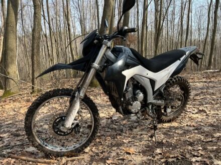 Лонкін Інша, об'ємом двигуна 0.3 л та пробігом 0 тис. км за 1700 $, фото 1 на Automoto.ua