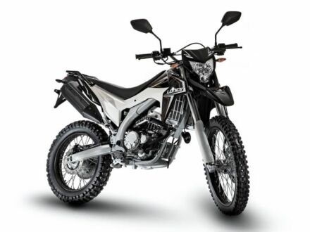 Лонкін Інша, об'ємом двигуна 0.3 л та пробігом 0 тис. км за 3000 $, фото 1 на Automoto.ua