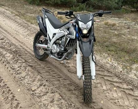 Лонкін  LX300GY-A DS2 Pro, об'ємом двигуна 0 л та пробігом 3 тис. км за 2500 $, фото 2 на Automoto.ua