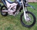 Лонкин  LX300GY-A DS2 Pro, объемом двигателя 0.3 л и пробегом 12 тыс. км за 2200 $, фото 1 на Automoto.ua