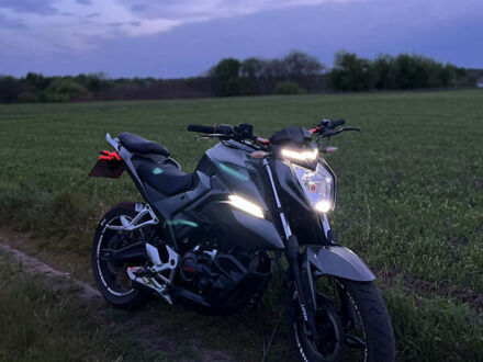 Лонкин СР, объемом двигателя 0.25 л и пробегом 24 тыс. км за 1350 $, фото 1 на Automoto.ua