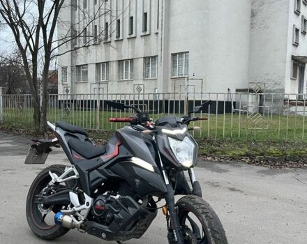 Лонкін Інша, об'ємом двигуна 0.25 л та пробігом 0 тис. км за 1376 $, фото 7 на Automoto.ua