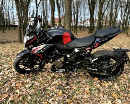 Лонкін Інша, об'ємом двигуна 0.3 л та пробігом 0 тис. км за 2500 $, фото 8 на Automoto.ua