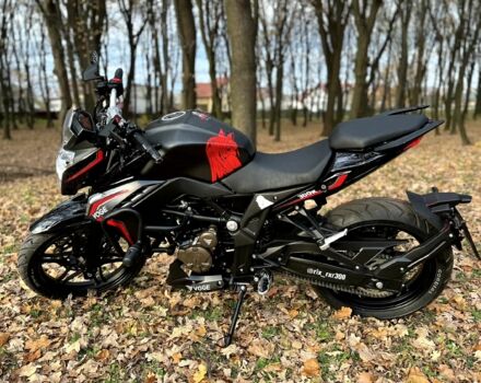 Лонкін Інша, об'ємом двигуна 0.3 л та пробігом 0 тис. км за 2500 $, фото 2 на Automoto.ua