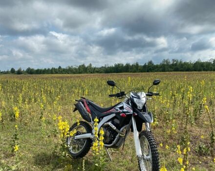 Лонкін Інша, об'ємом двигуна 0.25 л та пробігом 0 тис. км за 1700 $, фото 4 на Automoto.ua