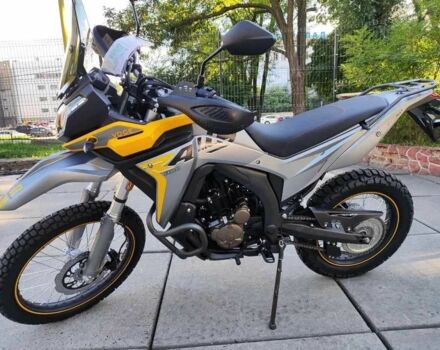 Лонкін Інша, об'ємом двигуна 0.3 л та пробігом 0 тис. км за 3852 $, фото 2 на Automoto.ua