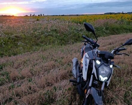 Лонкін Інша, об'ємом двигуна 0.2 л та пробігом 0 тис. км за 878 $, фото 11 на Automoto.ua