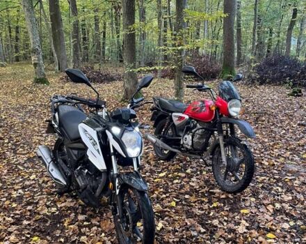 Лонкін Інша, об'ємом двигуна 0.2 л та пробігом 0 тис. км за 878 $, фото 4 на Automoto.ua