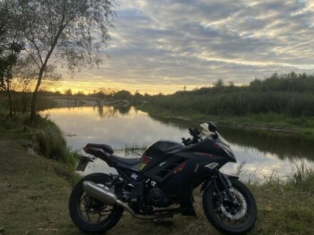 Лонкін Інша, об'ємом двигуна 0.25 л та пробігом 0 тис. км за 949 $, фото 1 на Automoto.ua