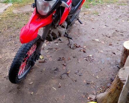 Лонкін LX200GY-3, об'ємом двигуна 0.2 л та пробігом 0 тис. км за 880 $, фото 3 на Automoto.ua