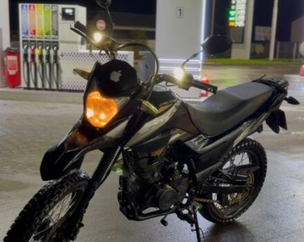 Лонкин LX200GY-3, объемом двигателя 0.2 л и пробегом 0 тыс. км за 900 $, фото 7 на Automoto.ua