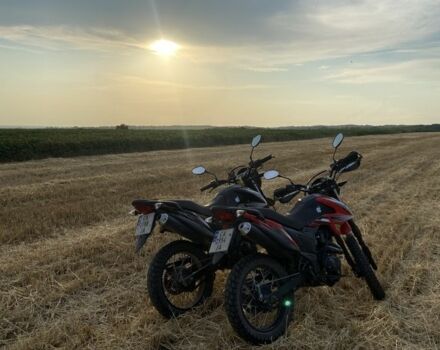 Лонкін LX200GY-3, об'ємом двигуна 0.2 л та пробігом 0 тис. км за 952 $, фото 2 на Automoto.ua