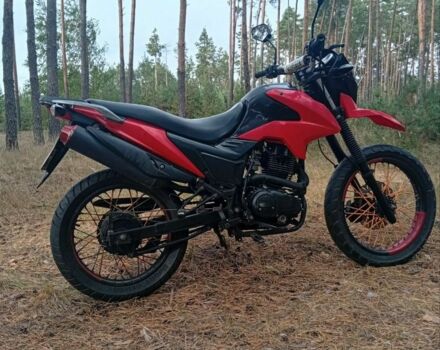 Лонкин LX200GY-3, объемом двигателя 0.2 л и пробегом 0 тыс. км за 631 $, фото 4 на Automoto.ua