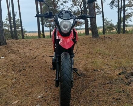 Лонкин LX200GY-3, объемом двигателя 0.2 л и пробегом 0 тыс. км за 631 $, фото 6 на Automoto.ua