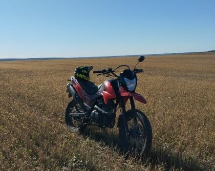 Лонкин LX200GY-3, объемом двигателя 0.19 л и пробегом 0 тыс. км за 750 $, фото 4 на Automoto.ua