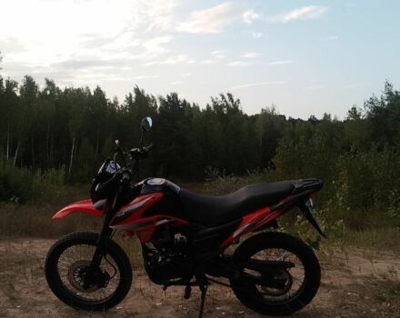 Лонкин LX200GY-3, объемом двигателя 0.2 л и пробегом 0 тыс. км за 1100 $, фото 2 на Automoto.ua