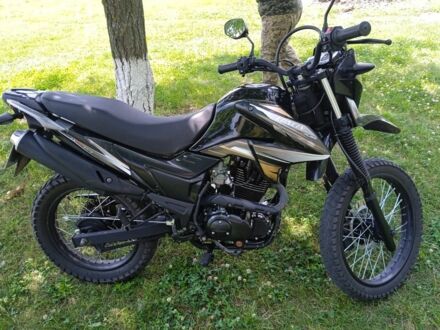 Лонкин LX200GY-3, объемом двигателя 0.2 л и пробегом 0 тыс. км за 900 $, фото 1 на Automoto.ua