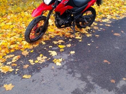 Лонкин LX200GY-3, объемом двигателя 0.2 л и пробегом 0 тыс. км за 880 $, фото 1 на Automoto.ua