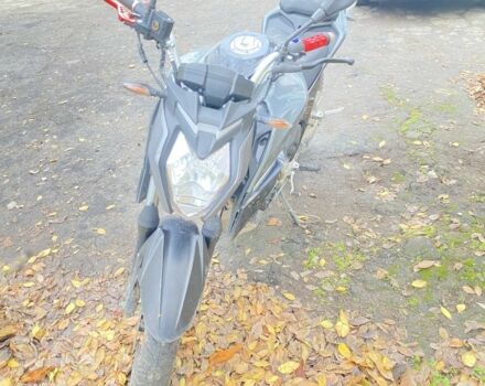 Лонкин LX250-15, объемом двигателя 0.25 л и пробегом 0 тыс. км за 830 $, фото 2 на Automoto.ua