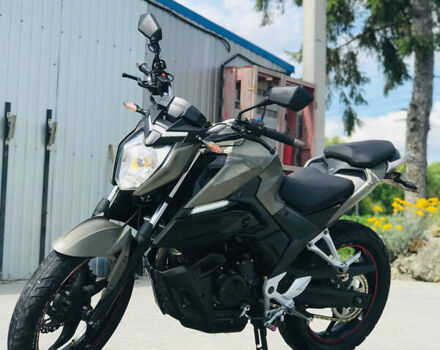 Лонкин LX250-15 CR4, объемом двигателя 0 л и пробегом 20 тыс. км за 1400 $, фото 2 на Automoto.ua