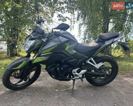 Сірий Лонкін LX250-15 CR4, об'ємом двигуна 0.25 л та пробігом 5 тис. км за 1692 $, фото 4 на Automoto.ua