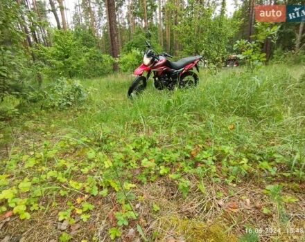 Червоний Лонкін LX 200-GY3, об'ємом двигуна 0.2 л та пробігом 12 тис. км за 670 $, фото 1 на Automoto.ua