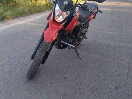 Лонкин LX 200-GY3 2020 в Березно на Automoto.ua Красный Лонкин LX 200-GY3, объемом двигателя 0 л и пробегом 10 тыс. км за 900 $, фото 1 на Automoto.ua