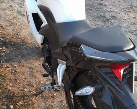 Белый Лонкин LX 250GS-2A, объемом двигателя 0.22 л и пробегом 33 тыс. км за 896 $, фото 5 на Automoto.ua