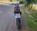 Червоний Лонкін LX 250GY-3, об'ємом двигуна 0.25 л та пробігом 2 тис. км за 1370 $, фото 4 на Automoto.ua