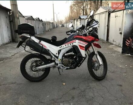 Червоний Лонкін LX 300GY-A, об'ємом двигуна 0.29 л та пробігом 17 тис. км за 2250 $, фото 3 на Automoto.ua